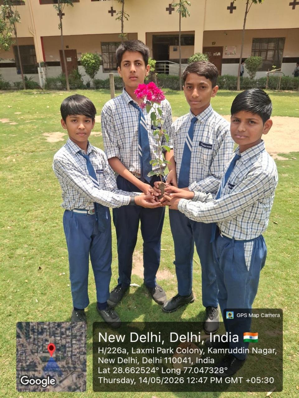Tree Plantation
